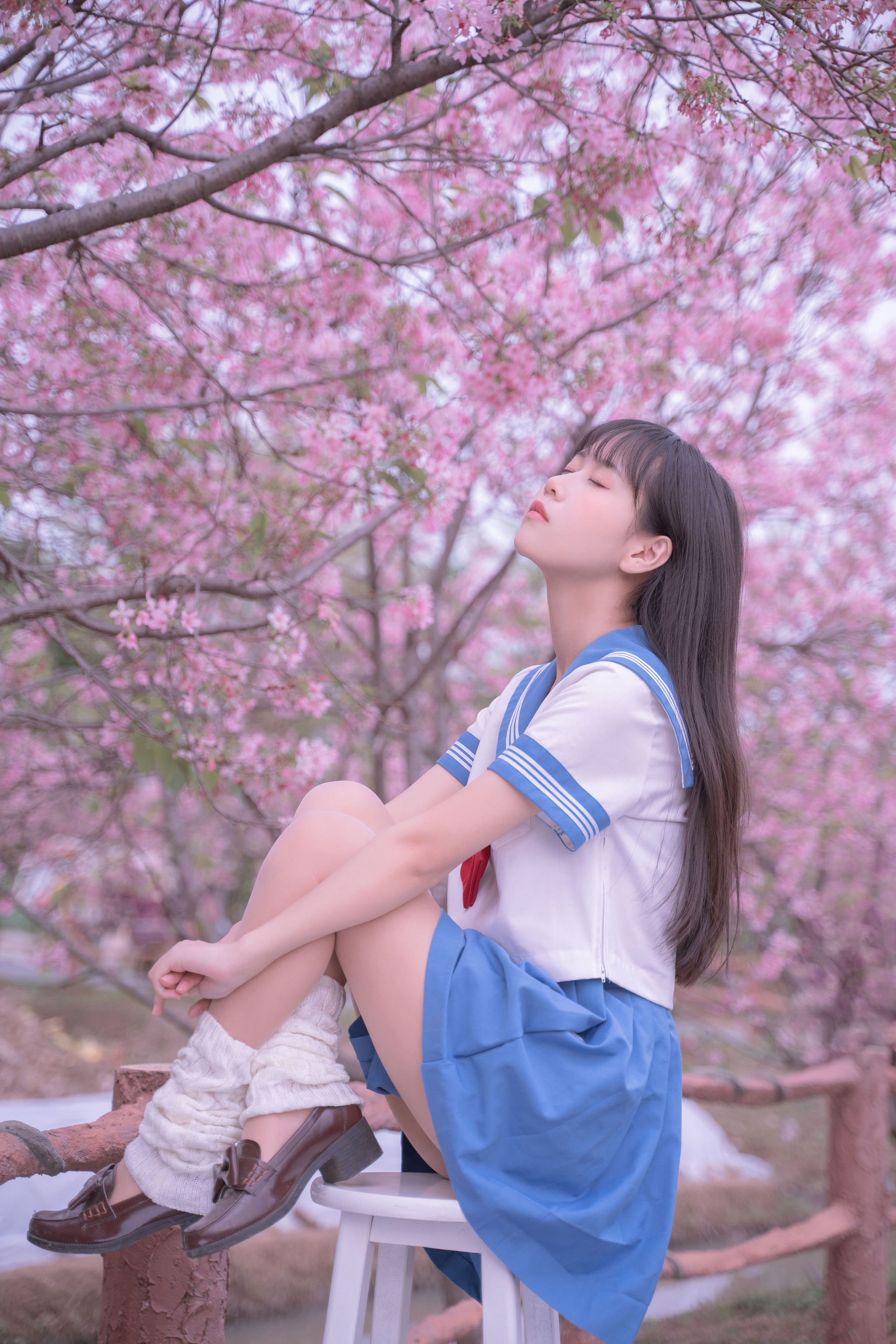 图片[1]-萌芽儿o0 – NO.029 樱花JK[31P]-XikXak